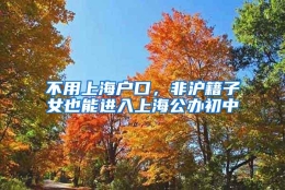 不用上海户口，非沪籍子女也能进入上海公办初中