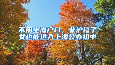 不用上海户口，非沪籍子女也能进入上海公办初中