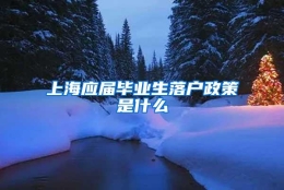 上海应届毕业生落户政策是什么