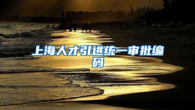 上海人才引进统一审批编码