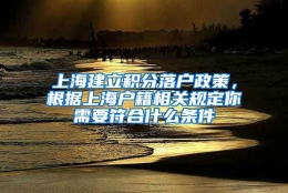 上海建立积分落户政策，根据上海户籍相关规定你需要符合什么条件