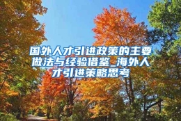 国外人才引进政策的主要做法与经验借鉴_海外人才引进策略思考