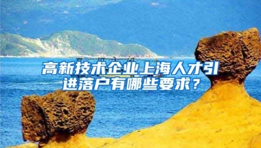 高新技术企业上海人才引进落户有哪些要求？