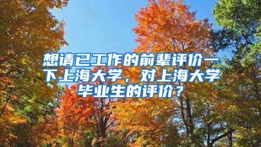 想请已工作的前辈评价一下上海大学，对上海大学毕业生的评价？