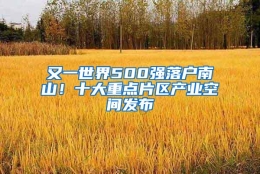 又一世界500强落户南山！十大重点片区产业空间发布