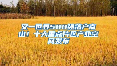 又一世界500强落户南山！十大重点片区产业空间发布