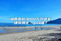 湖南高校1800万引进菲律宾博士，pua谁？