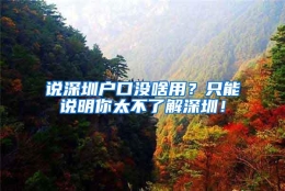 说深圳户口没啥用？只能说明你太不了解深圳！