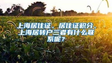 上海居住证、居住证积分、上海居转户三者有什么联系呢？