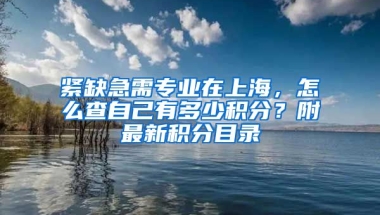 紧缺急需专业在上海，怎么查自己有多少积分？附最新积分目录