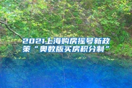 2021上海购房摇号新政策“奥数版买房积分制”