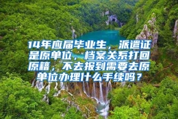 14年应届毕业生，派遣证是原单位，档案关系打回原籍，不去报到需要去原单位办理什么手续吗？