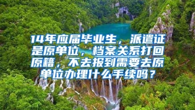 14年应届毕业生，派遣证是原单位，档案关系打回原籍，不去报到需要去原单位办理什么手续吗？