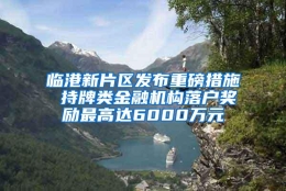 临港新片区发布重磅措施 持牌类金融机构落户奖励最高达6000万元