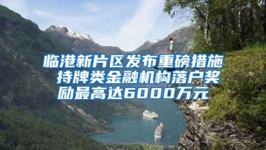 临港新片区发布重磅措施 持牌类金融机构落户奖励最高达6000万元