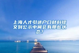 上海人才引进户口材料提交到公示中间会有那些状态？