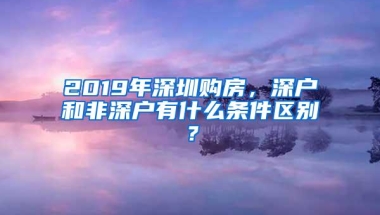 2019年深圳购房，深户和非深户有什么条件区别？