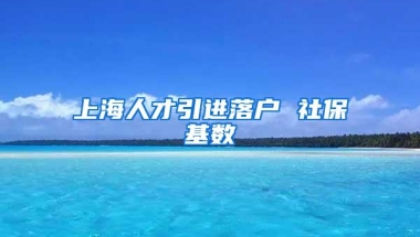 上海人才引进落户 社保基数