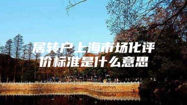 居转户上海市场化评价标准是什么意思