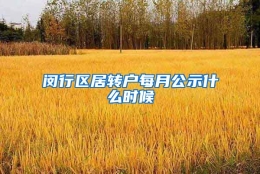 闵行区居转户每月公示什么时候