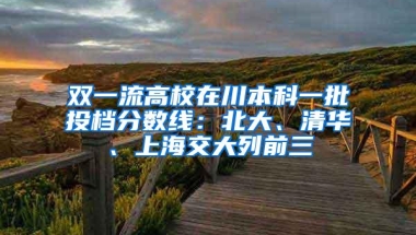 双一流高校在川本科一批投档分数线：北大、清华、上海交大列前三