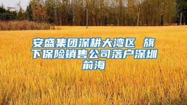 安盛集团深耕大湾区 旗下保险销售公司落户深圳前海