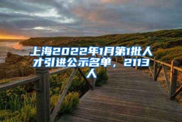 上海2022年1月第1批人才引进公示名单，2113人