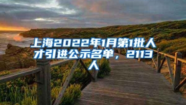 上海2022年1月第1批人才引进公示名单，2113人