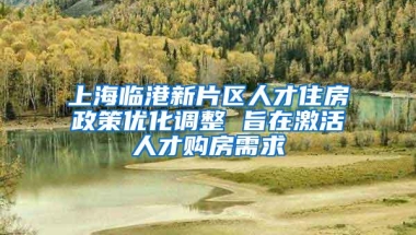 上海临港新片区人才住房政策优化调整 旨在激活人才购房需求