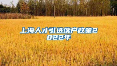 上海人才引进落户政策2022年