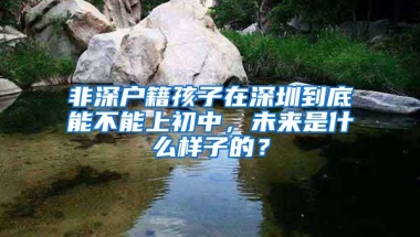 非深户籍孩子在深圳到底能不能上初中，未来是什么样子的？