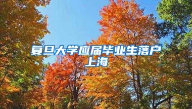 复旦大学应届毕业生落户上海