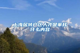 上海居转户区人才是审核什么内容