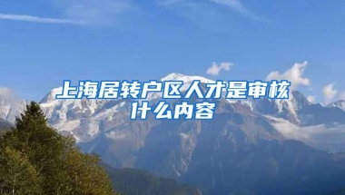 上海居转户区人才是审核什么内容