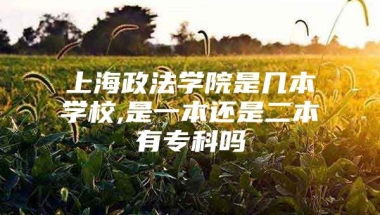 上海政法学院是几本学校,是一本还是二本有专科吗