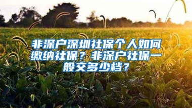 非深户深圳社保个人如何缴纳社保？非深户社保一般交多少档？