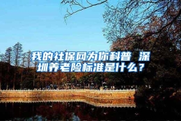 我的社保网为你科普 深圳养老险标准是什么？