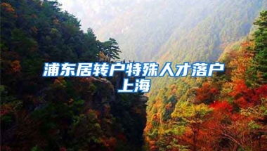 浦东居转户特殊人才落户上海