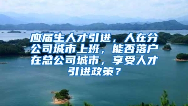 应届生人才引进，人在分公司城市上班，能否落户在总公司城市，享受人才引进政策？