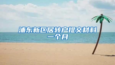 浦东新区居转户提交材料一个月