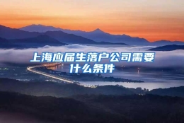 上海应届生落户公司需要什么条件