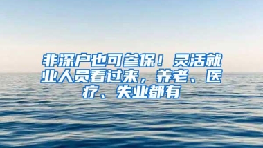 非深户也可参保！灵活就业人员看过来，养老、医疗、失业都有