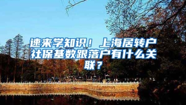 速来学知识！上海居转户社保基数跟落户有什么关联？