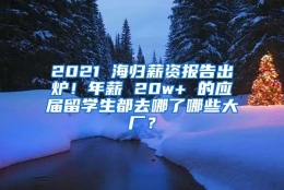 2021 海归薪资报告出炉！年薪 20w+ 的应届留学生都去哪了哪些大厂？