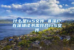 什么是1+5文件 非深户在深圳读书需符合1+5文件