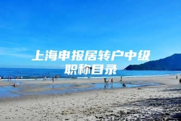 上海申报居转户中级职称目录