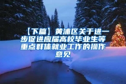 【下篇】黄浦区关于进一步促进应届高校毕业生等重点群体就业工作的操作意见