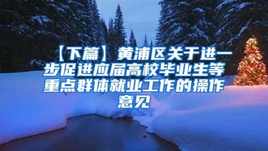 【下篇】黄浦区关于进一步促进应届高校毕业生等重点群体就业工作的操作意见