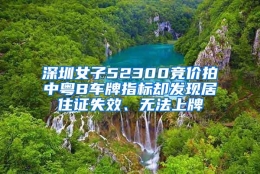 深圳女子52300竞价拍中粤B车牌指标却发现居住证失效、无法上牌