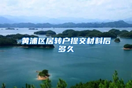 黄浦区居转户提交材料后多久